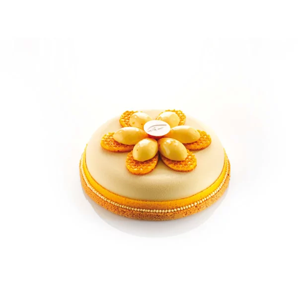 Entremets moulds 'Rond plat entremets', diameter 16 cm