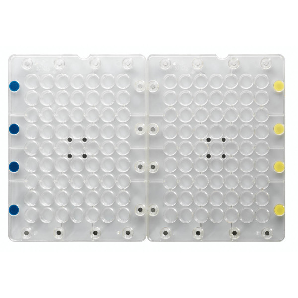Magnet form to make the filled balls