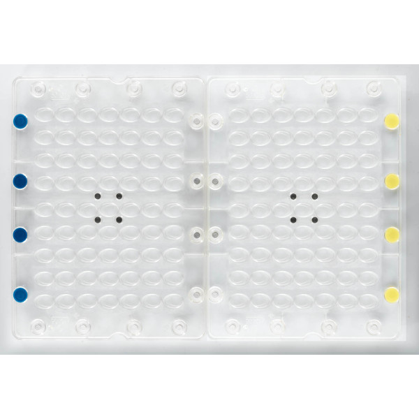 Magnet form to make the filled eggs