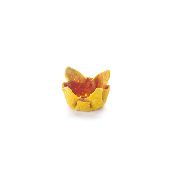 Carrot tulips