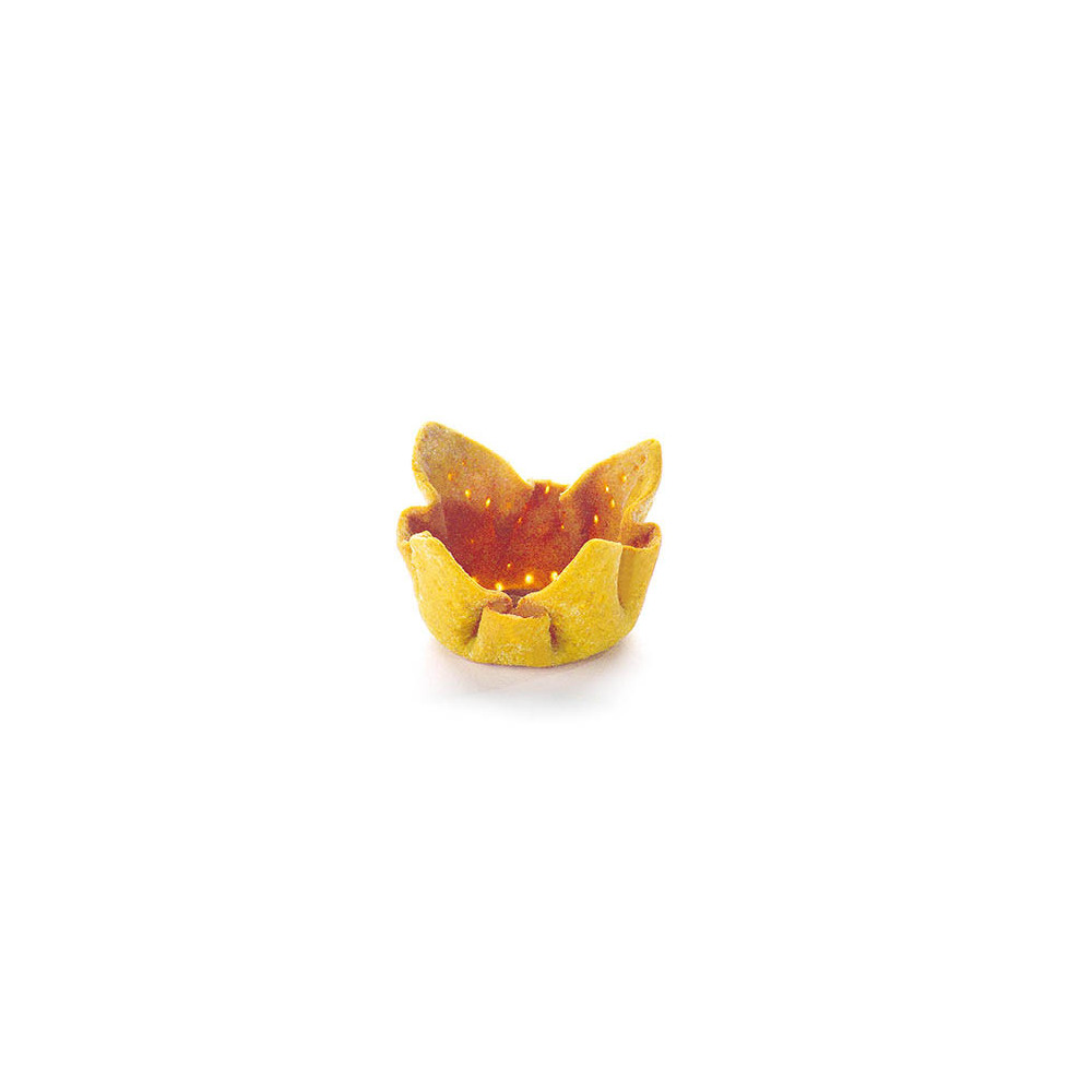 Tulipes 'Carotte'