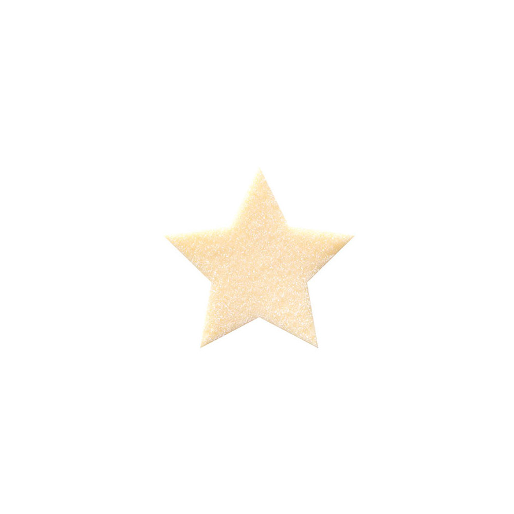 Etoiles en chocolat blanc cristallisées