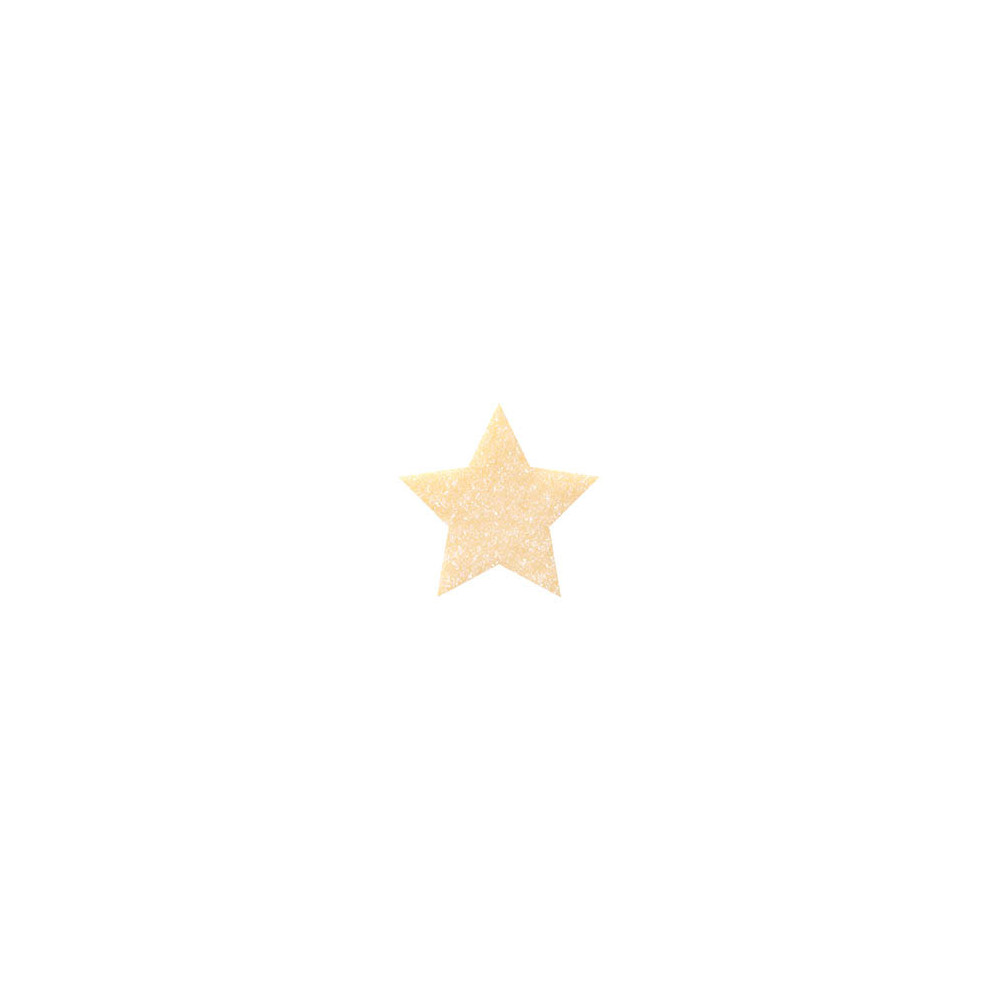 Etoiles en chocolat blanc cristallisées