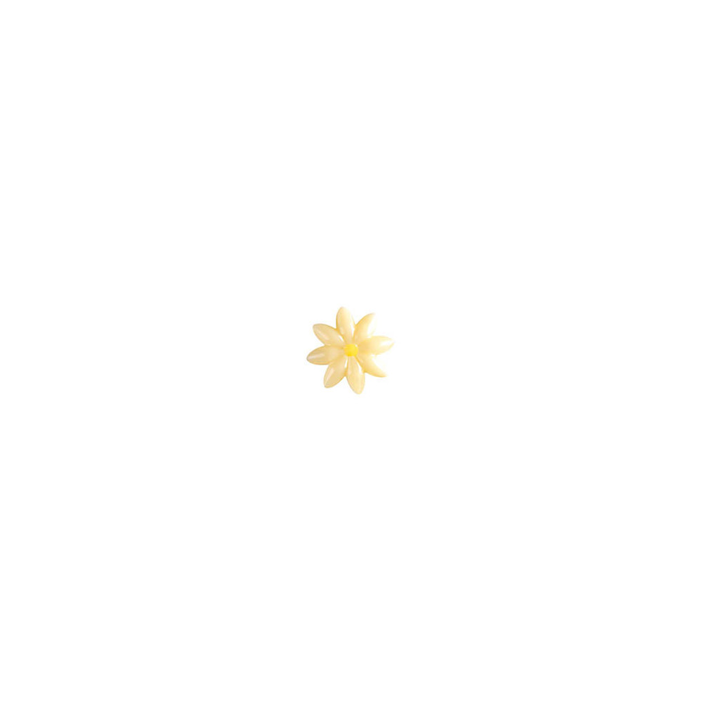 Daisies White chocolate 'Coeur jaune'