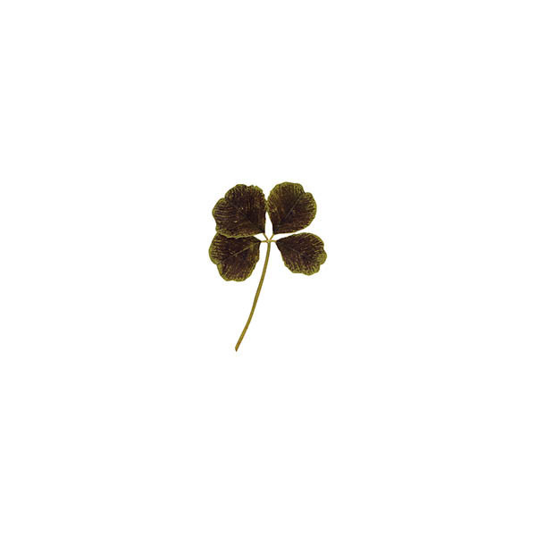 Edible dried four-leaf clover