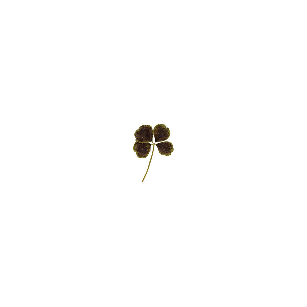 Edible dried four-leaf clover