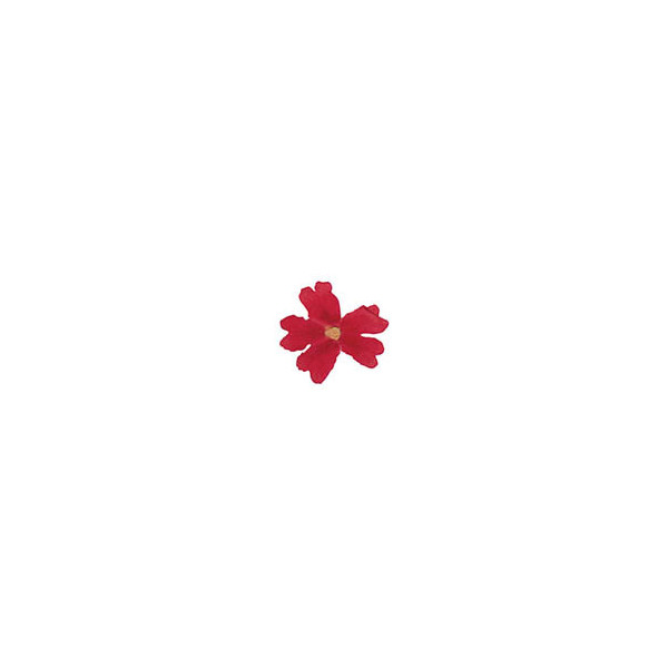 Edible dried red vervain flowers
