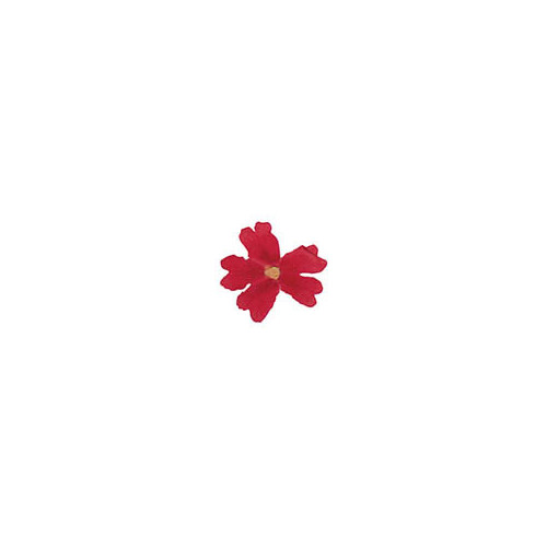 050294 1