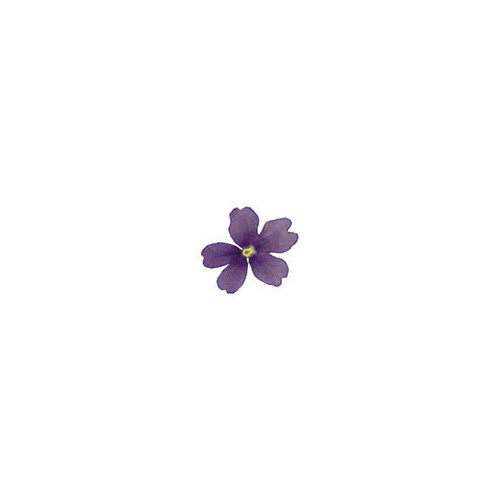 050295 1