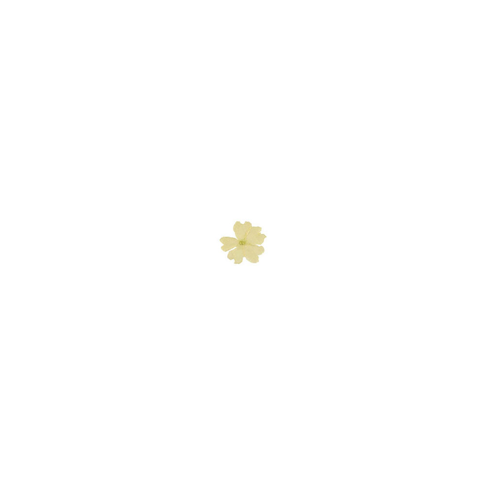 Edible dried white vervain flowers
