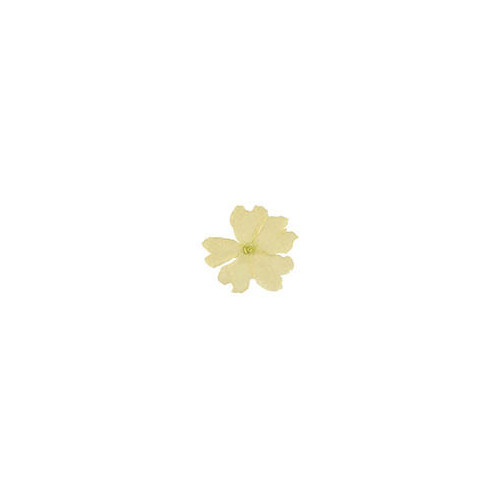 050296 1