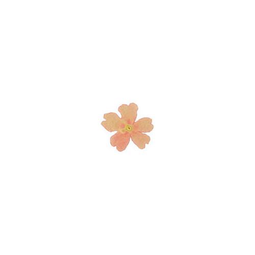 050297 1