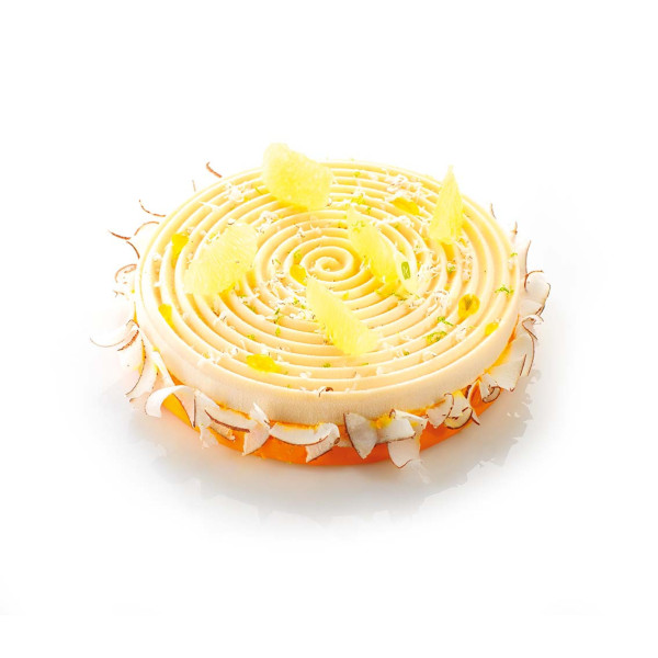Moules pour entremets 'Spirale'
