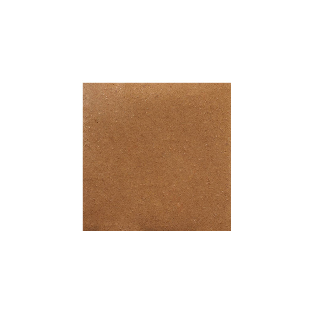 Colouring foodstuff water-soluble brown 50 g