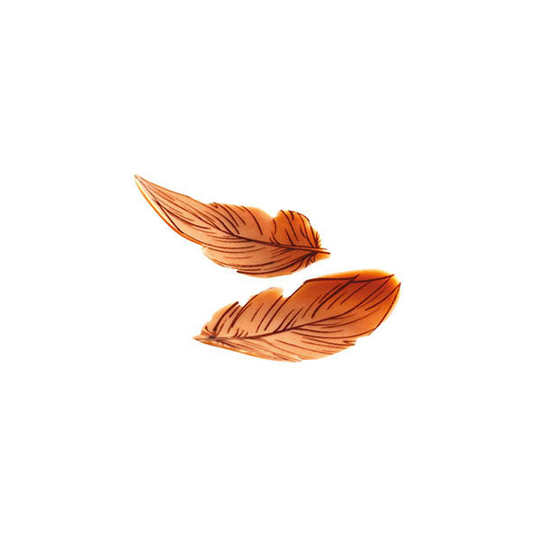 Petites plumes courbées en chocolat blanc caramélisé