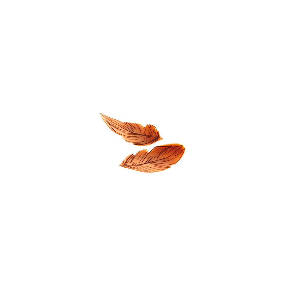 Petites plumes courbées en chocolat blanc caramélisé