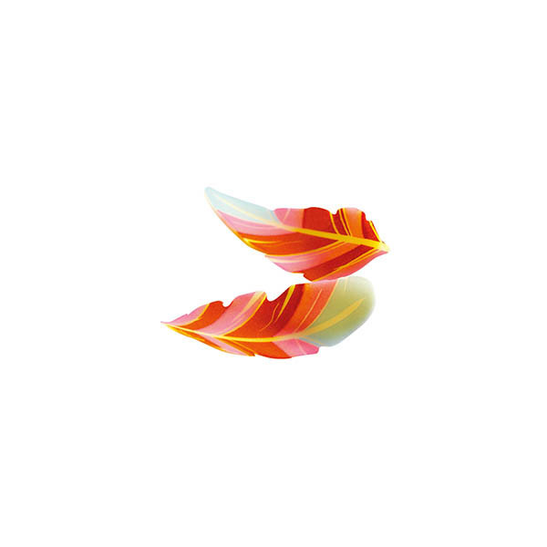 Petites plumes courbées en chocolat blanc