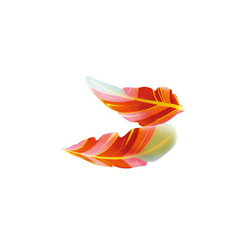 061041 1