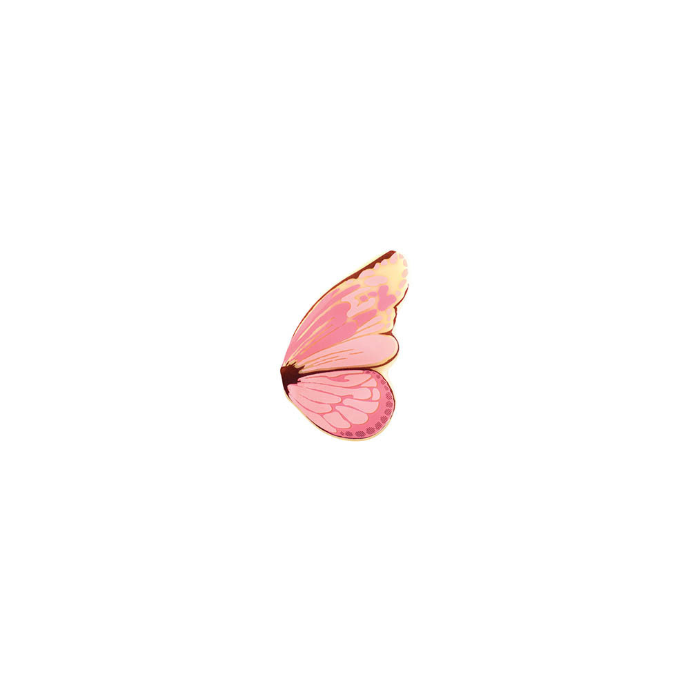 Ailes de papillons en chocolat blanc