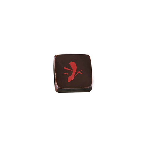Transfer sheets 'Artiste' for chocolates