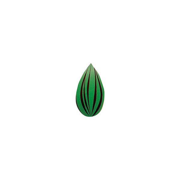 Mini leaves Dark chocolate 'Traits verts'