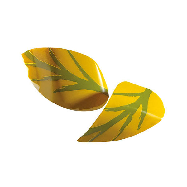 Curved leaves White chocolate 'Vertes'