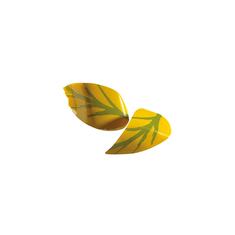 Curved leaves White chocolate 'Vertes'