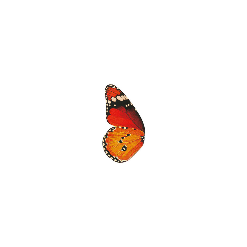 Ailes de papillons en chocolat blanc