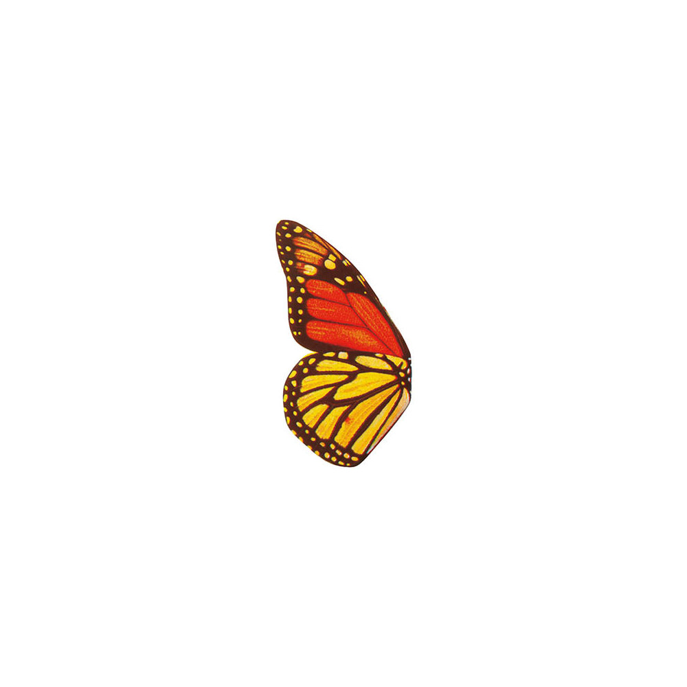 Butterflies wings White chocolate