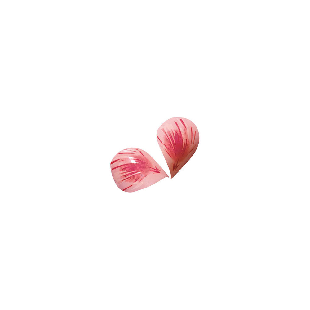 Pétales en chocolat blanc 'Rose'
