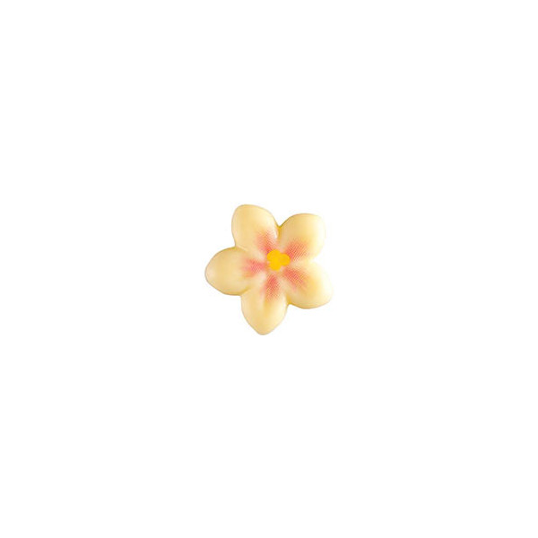 Fleurs de cerisier en chocolat blanc