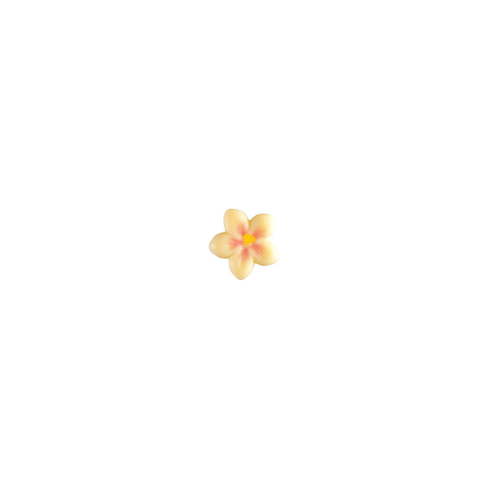 Fleurs de cerisier en chocolat blanc