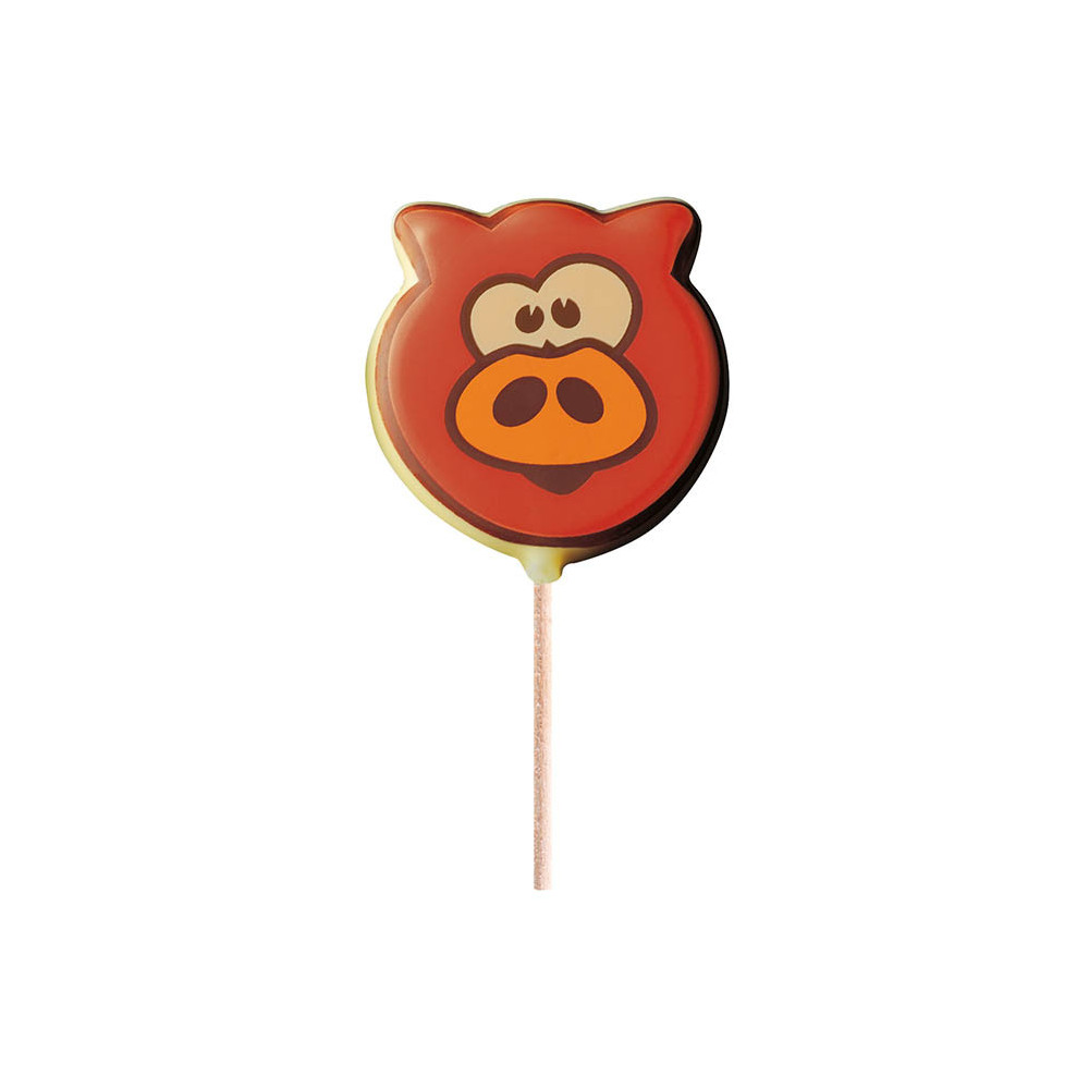Blisters lollipops 'Animaux'
