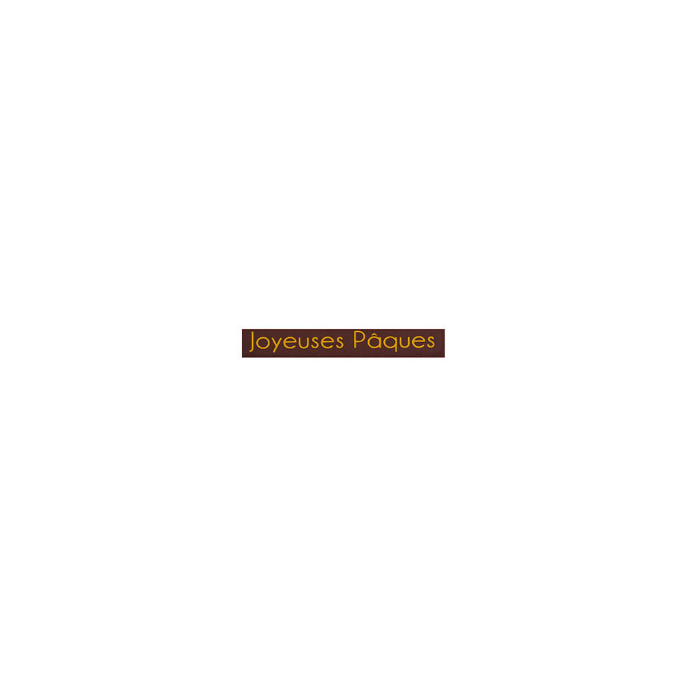 Rectangles en chocolat noir 'Signature'