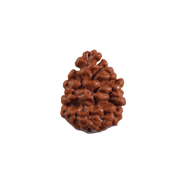 Pommes de pin en chocolat au lait