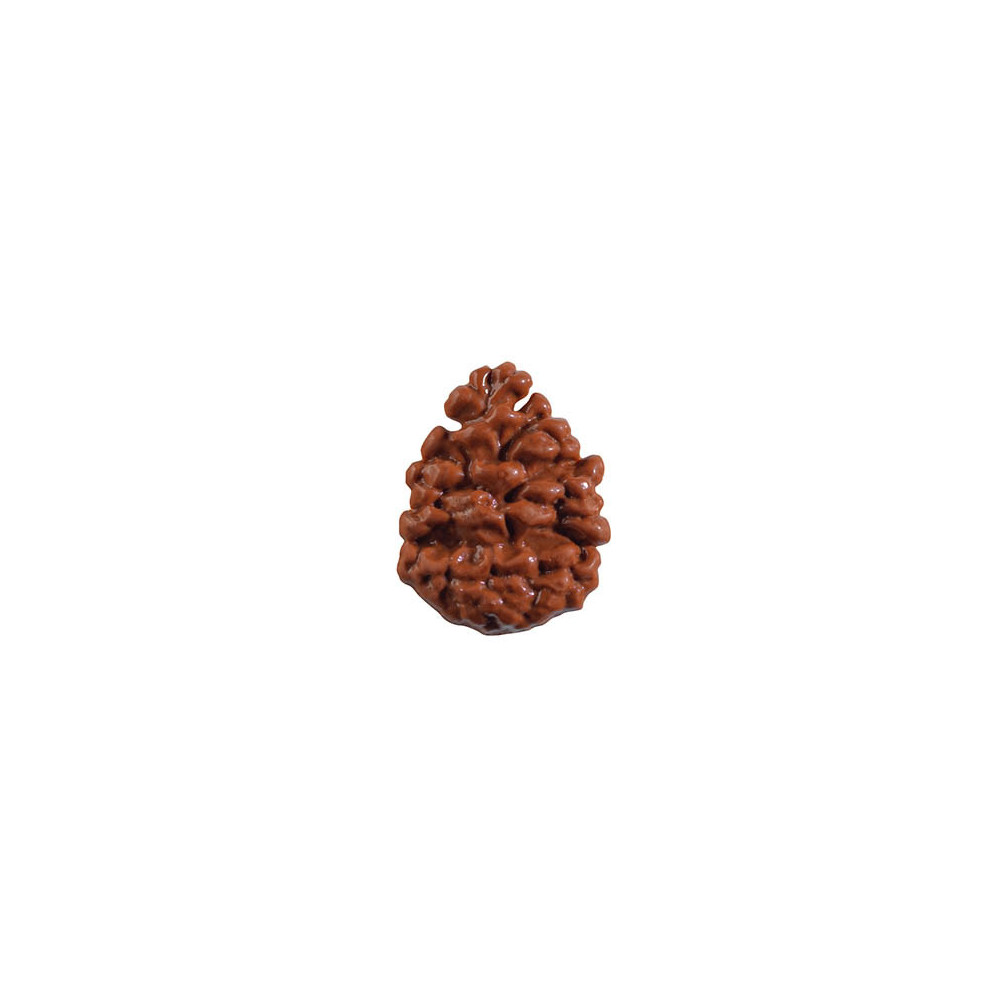 Pommes de pin en chocolat au lait
