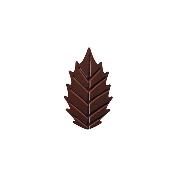 Petites feuilles nervures en chocolat noir