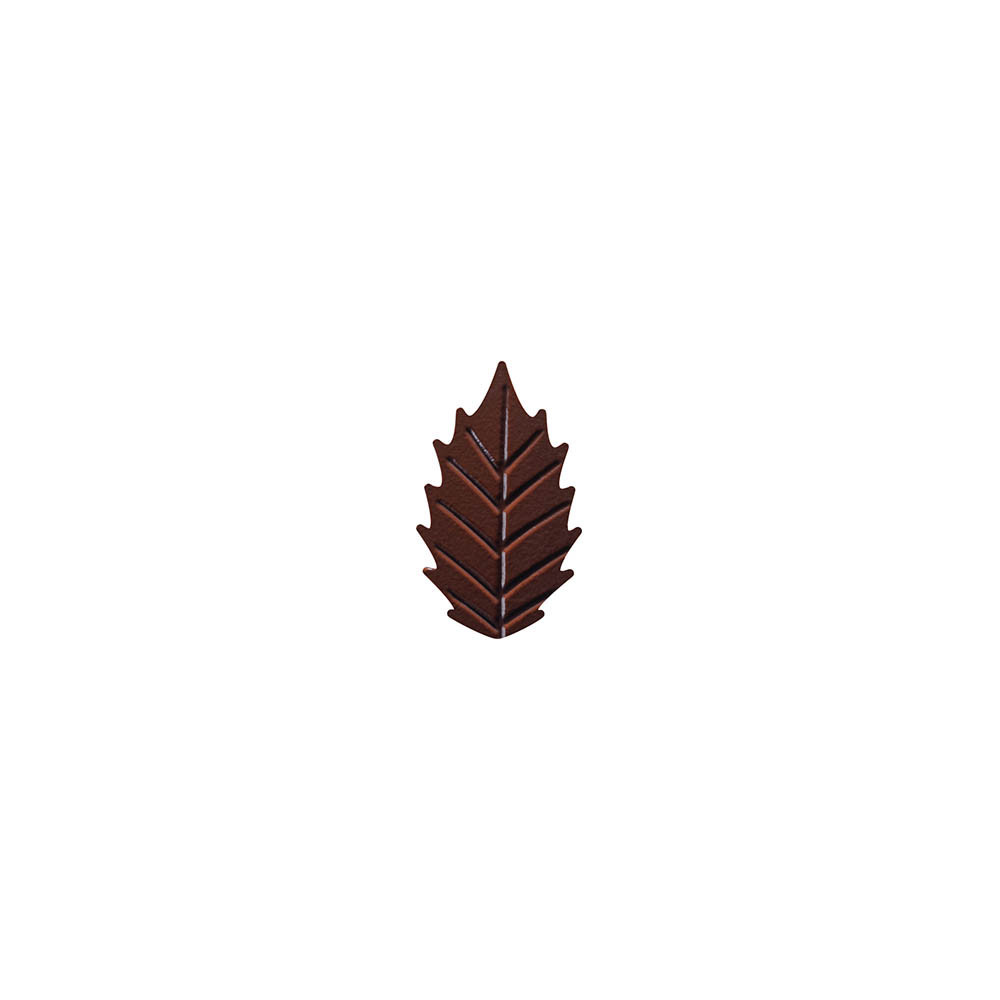 Petites feuilles nervures en chocolat noir