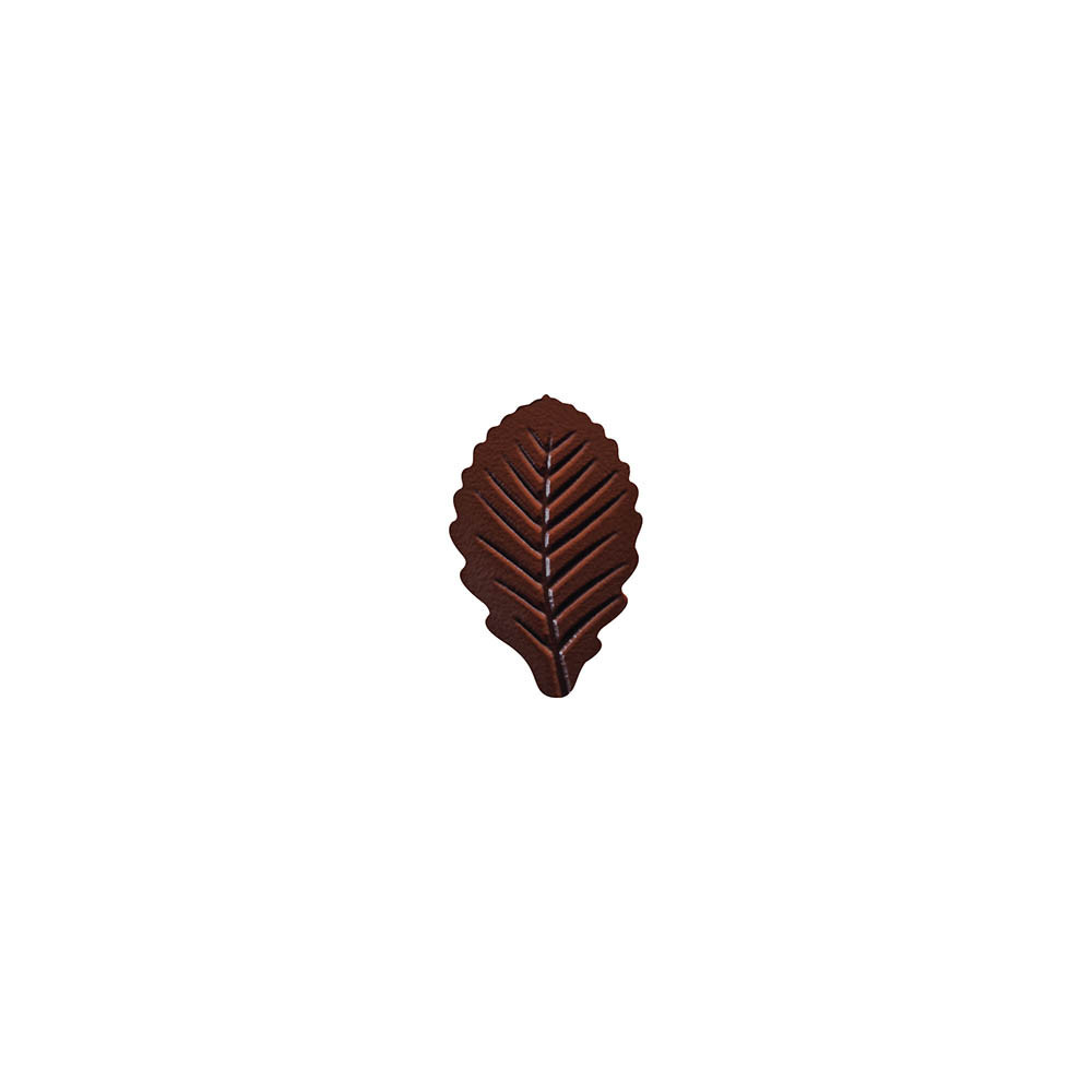 Petites feuilles nervures en chocolat noir