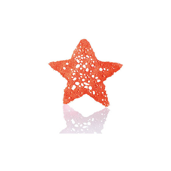 Opalines 'Stars bronze'