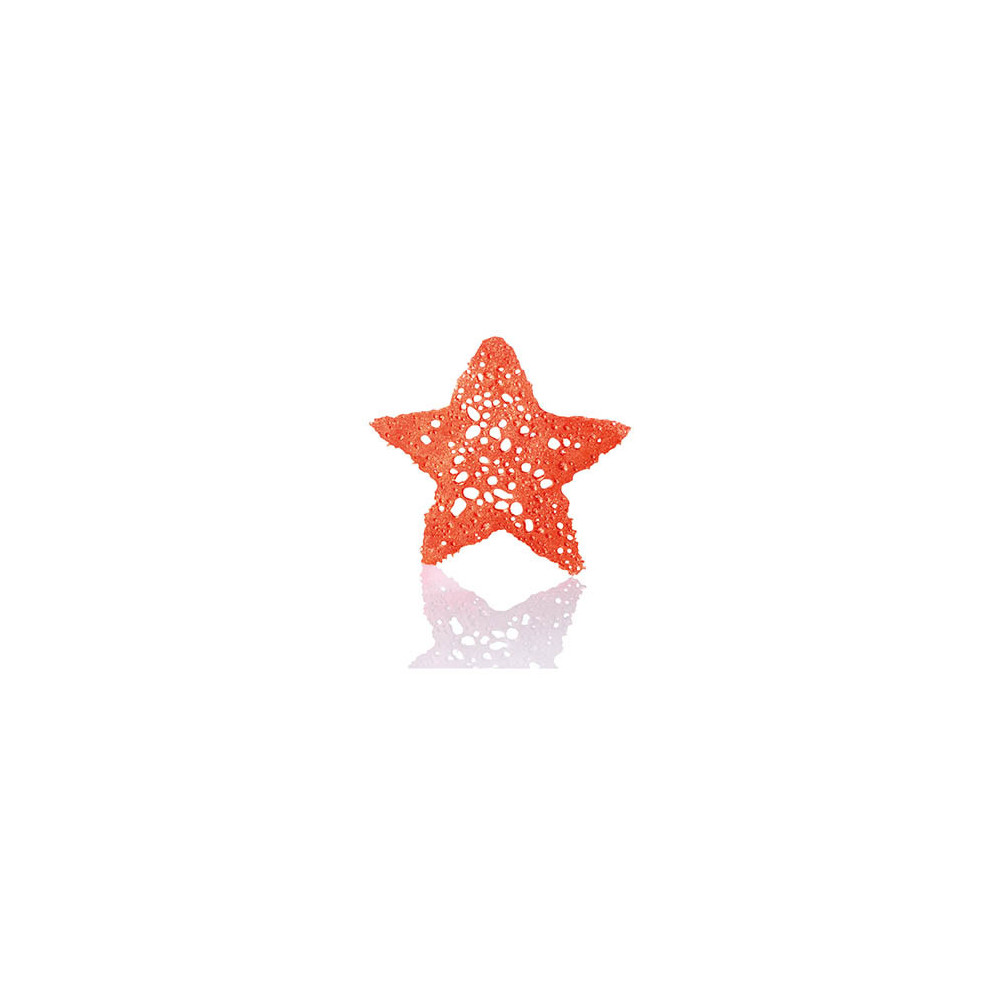 Opalines 'Etoiles bronze'