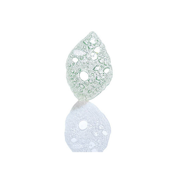 Opalines 'Feuilles de citron vert'