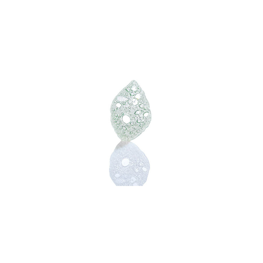 Opalines 'Feuilles de citron vert'