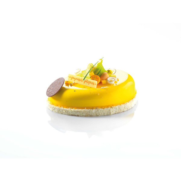 Moules pour entremets 'Oeuf 6 personnes'