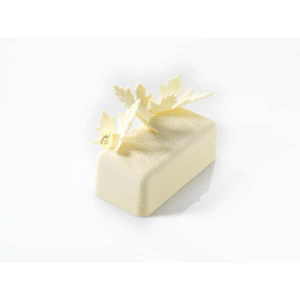 Moules pour entremets 'Lingot 24 cm'
