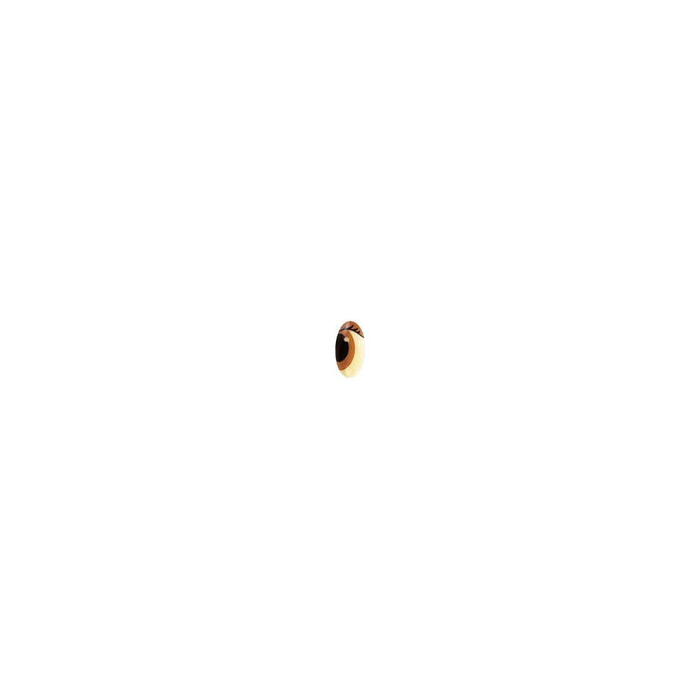 Oval eyes Compound with lashes
