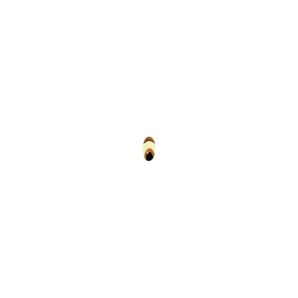 Oval eyes Compound with lashes