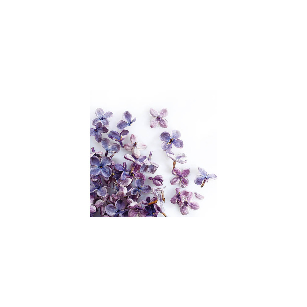 Freeze-dried lilac flowers