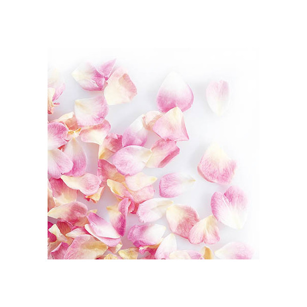 Mini pétales de rose lyophilisés Rose pâle