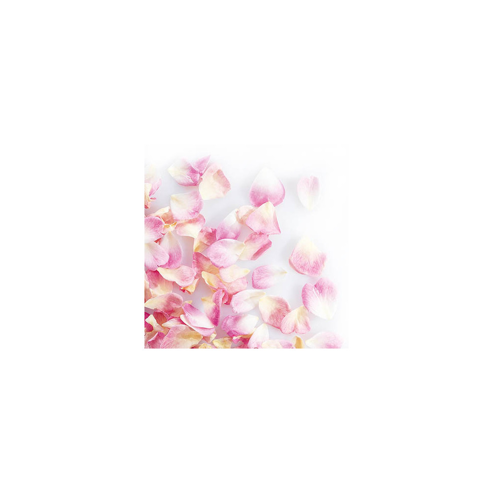 Mini pétales de rose lyophilisés Rose pâle